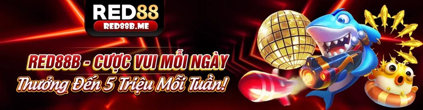 Thương hiệu n66 uy tín
